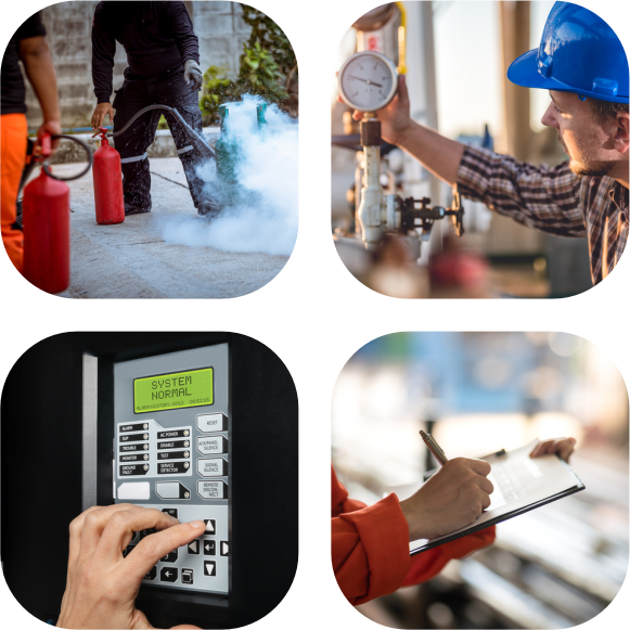 Alta Regularização